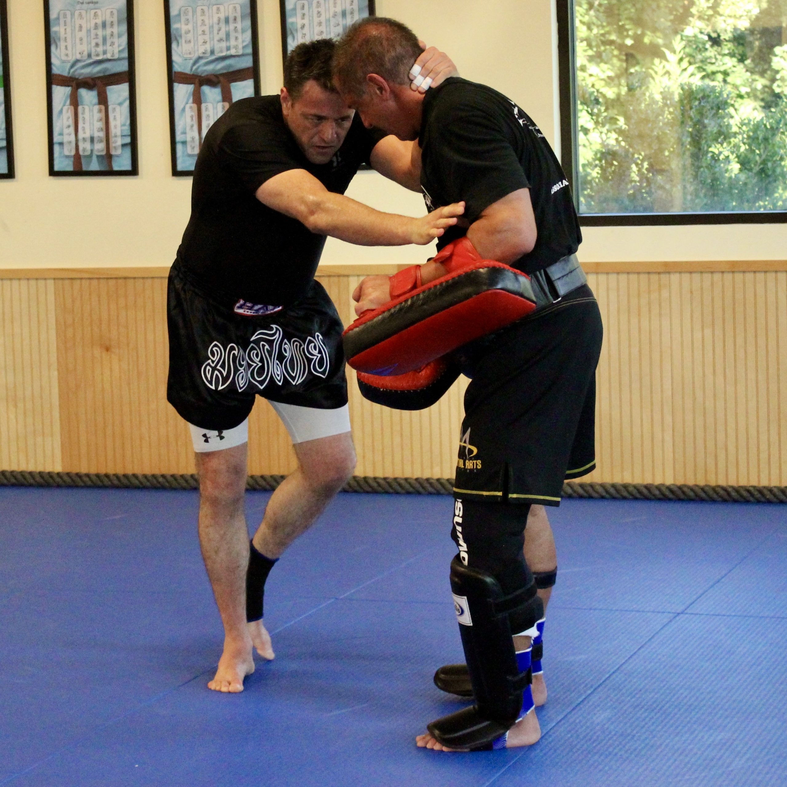 Martial arts partner training with Thai pads